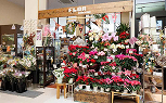 フローラ滑川店