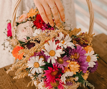 お祝い・お見舞い（出産・引っ越しなど）